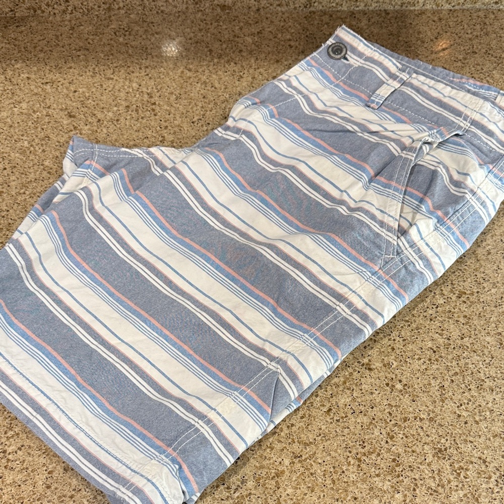 American Eagle Outfitters Blue and White Striped Shorts